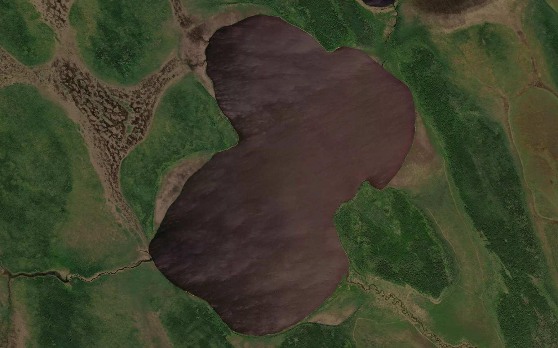 Satellite map of the Goose Lake