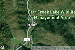 Little Carr Fork
