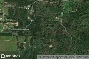Wild Cow Creek