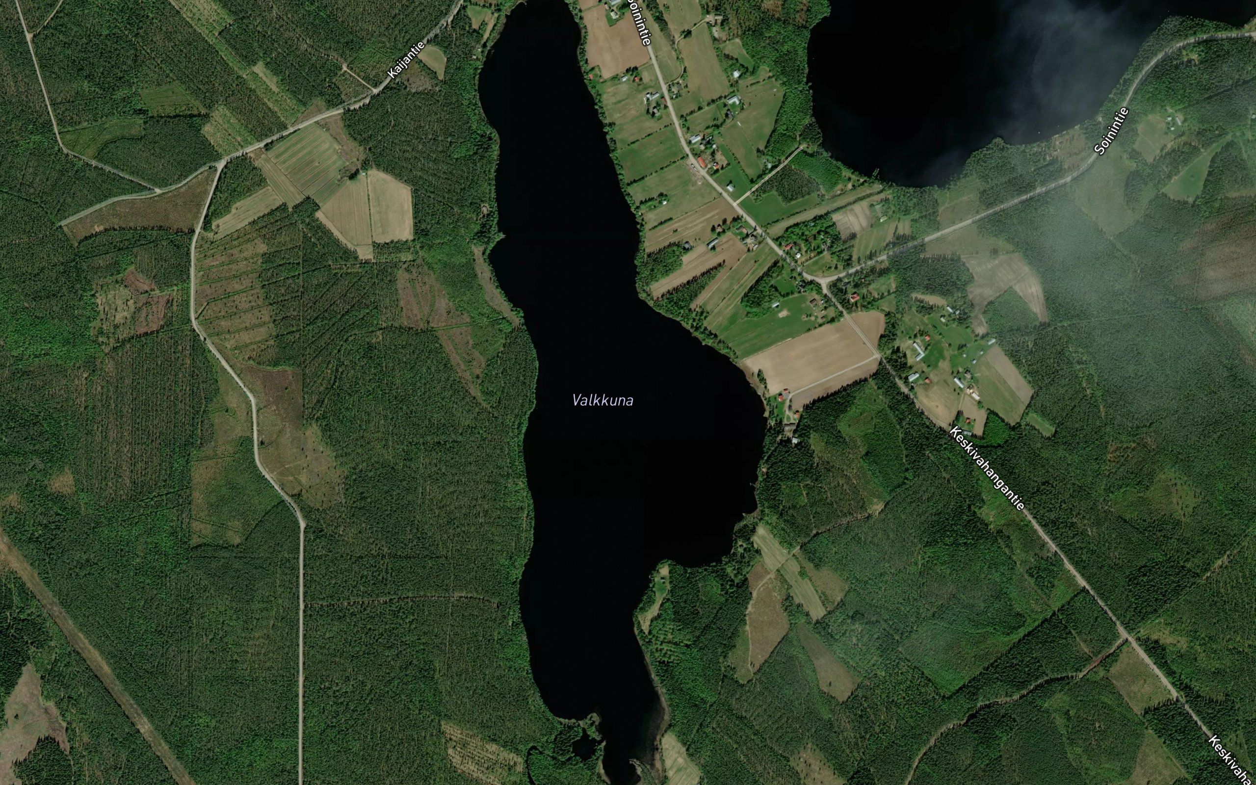 Valkkuna