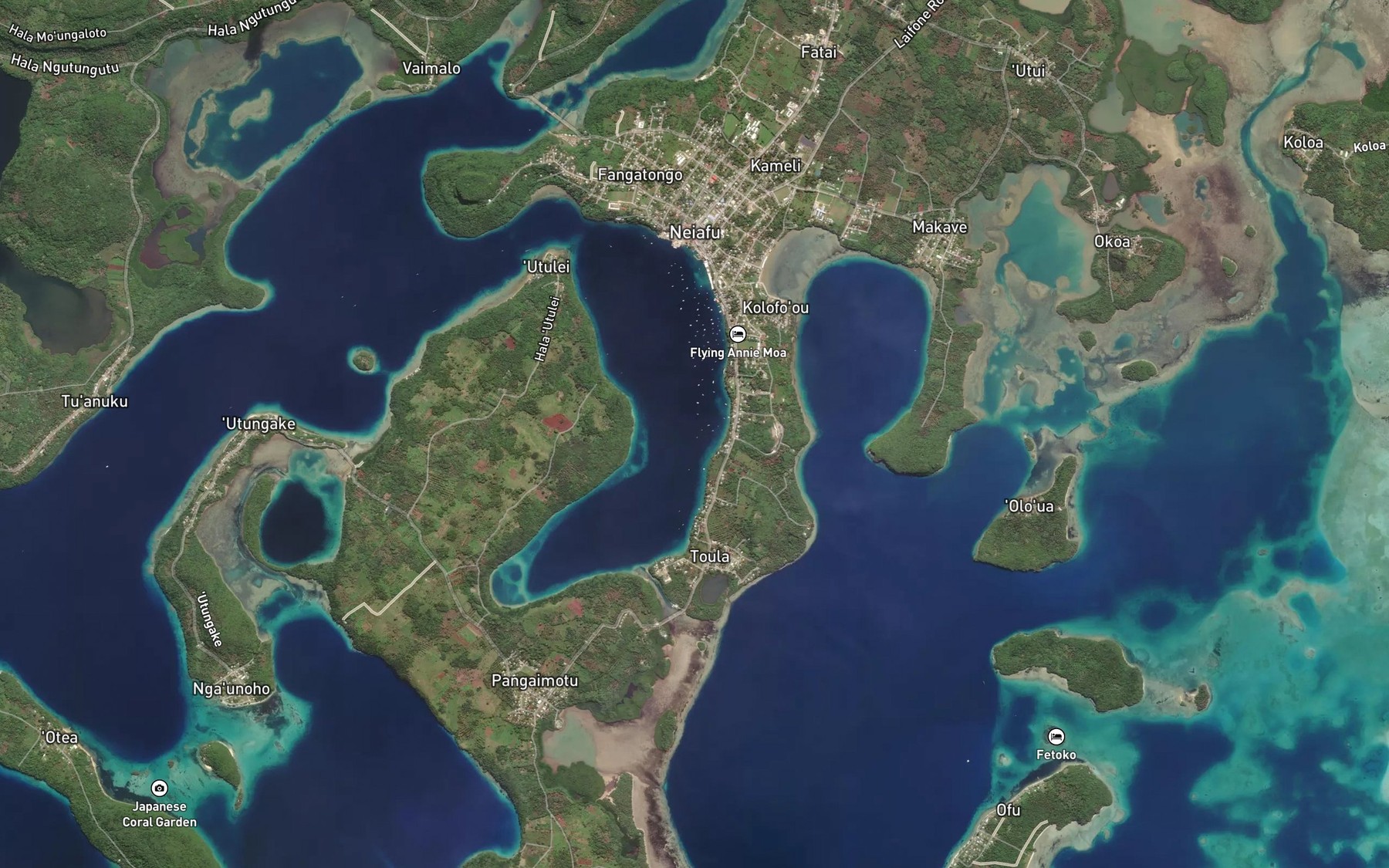 Satellite map of the Paepae