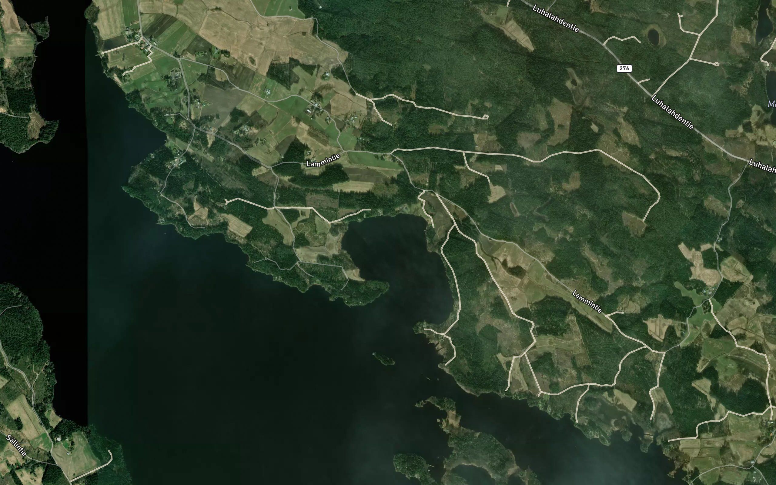 Pitkalahti