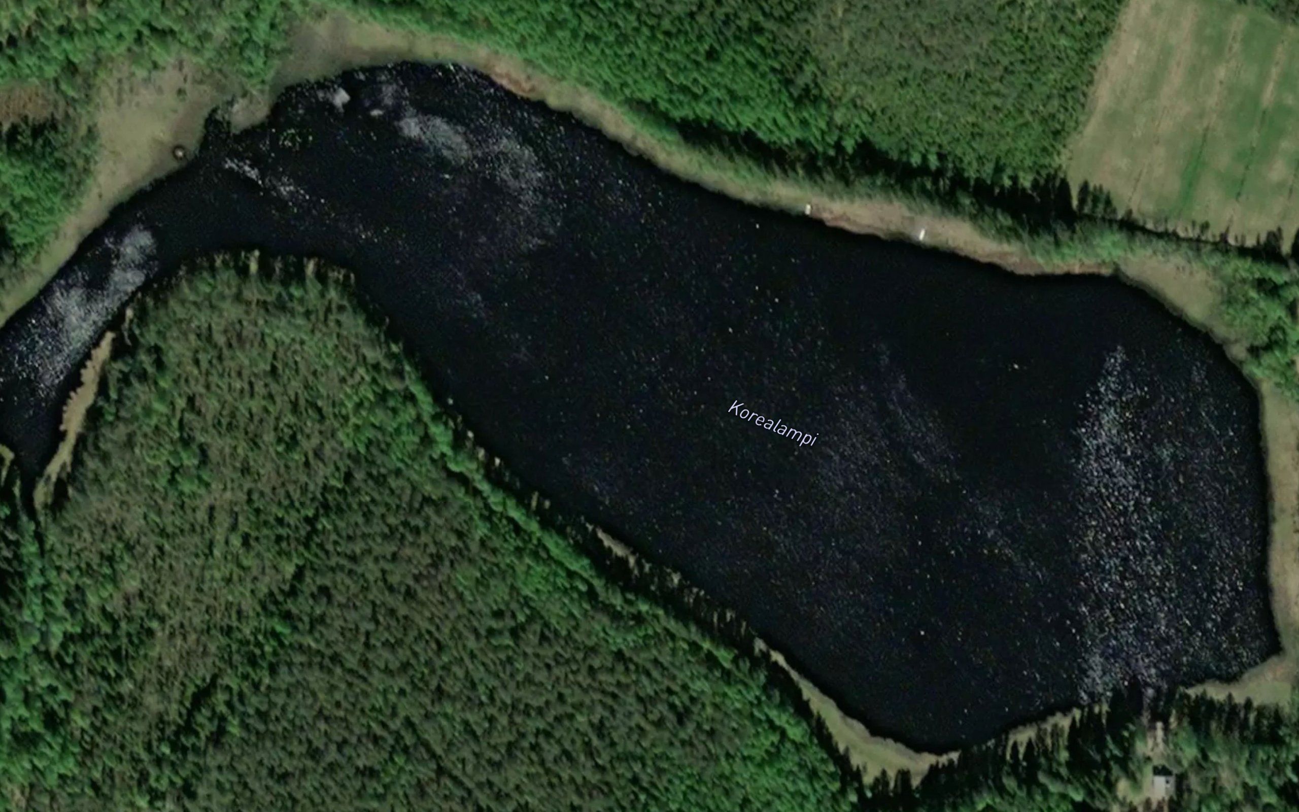 Korealampi