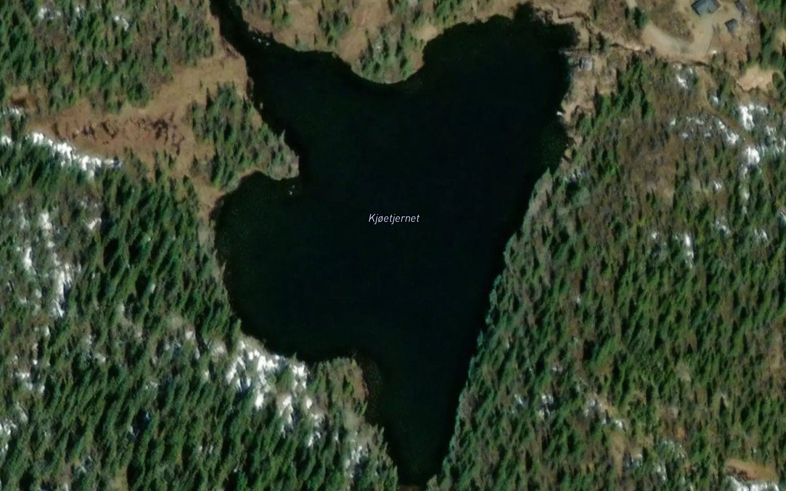 Kjootjednet