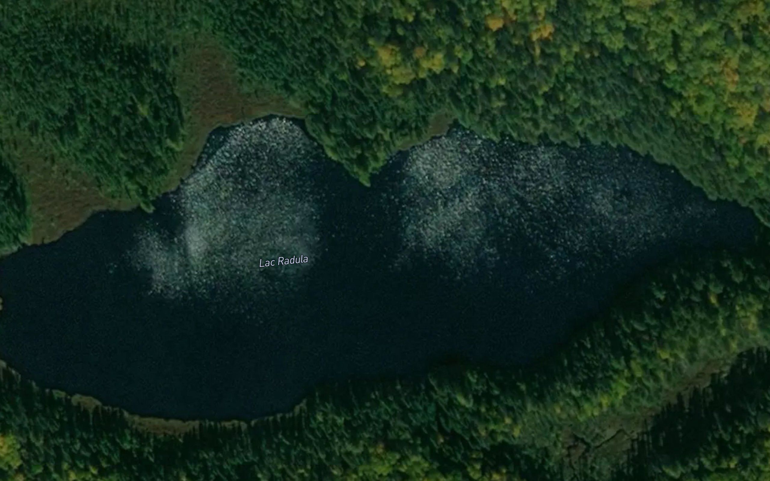 Lac Radula