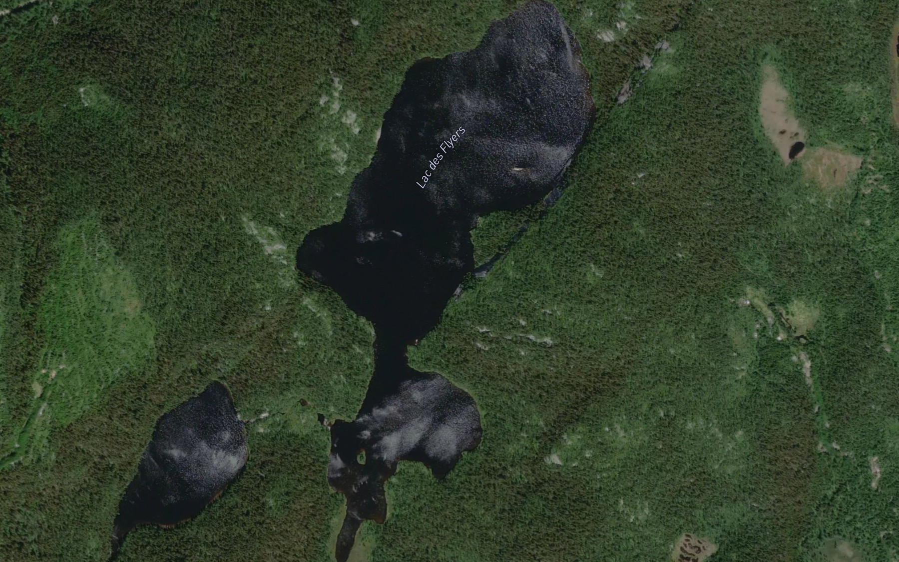 Satellite map of the Lac des Flyers