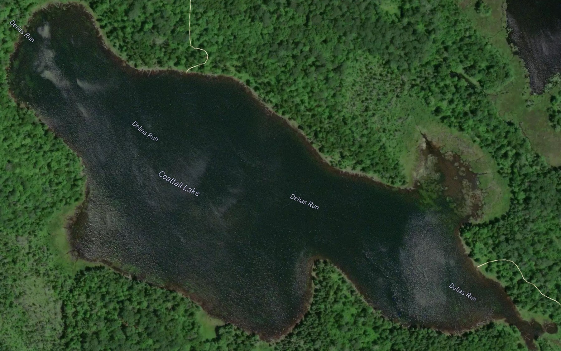 Satellite map of the Coattail Lake