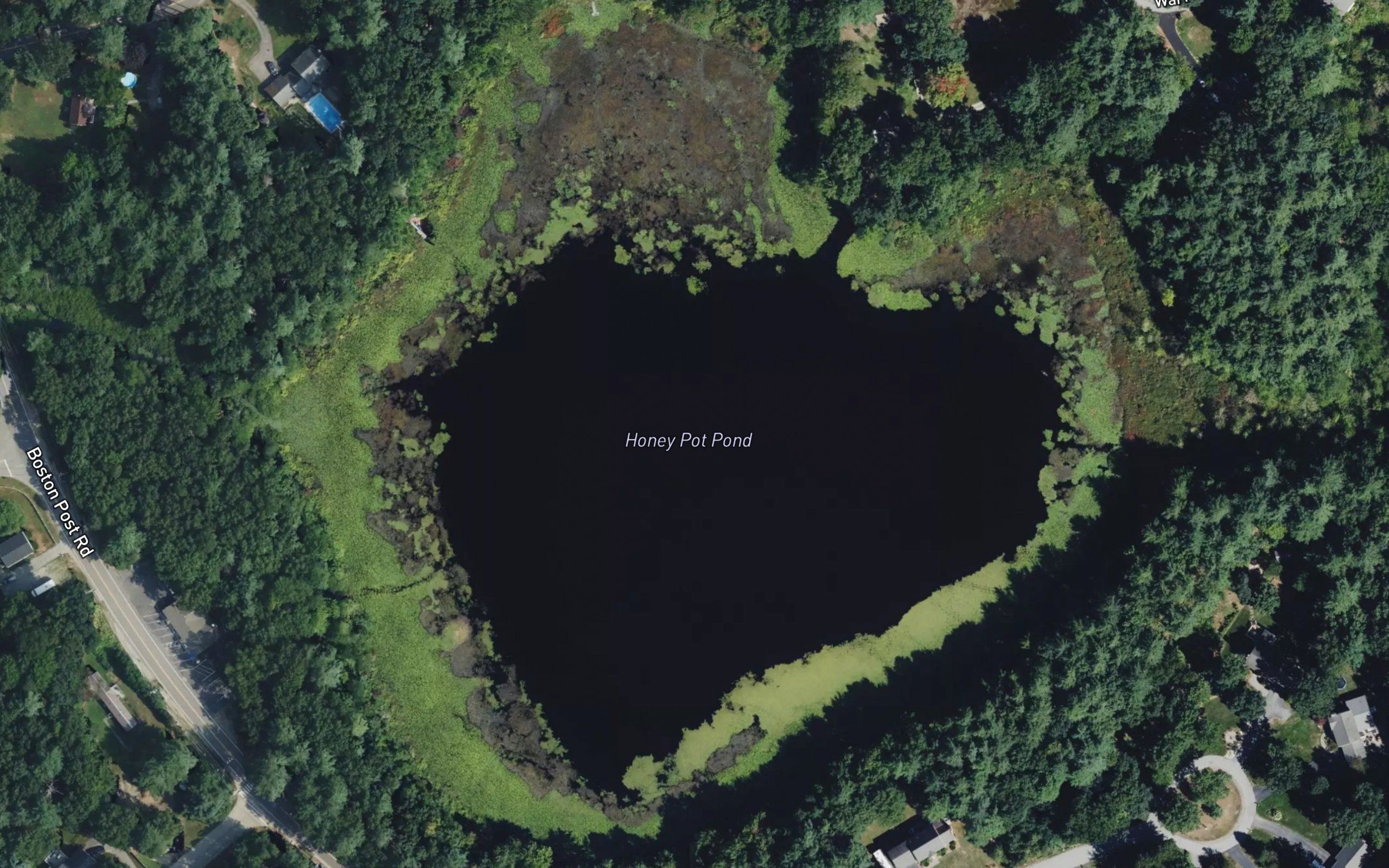 Honey Pot Pond
