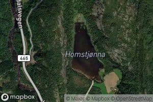 Homstjonna