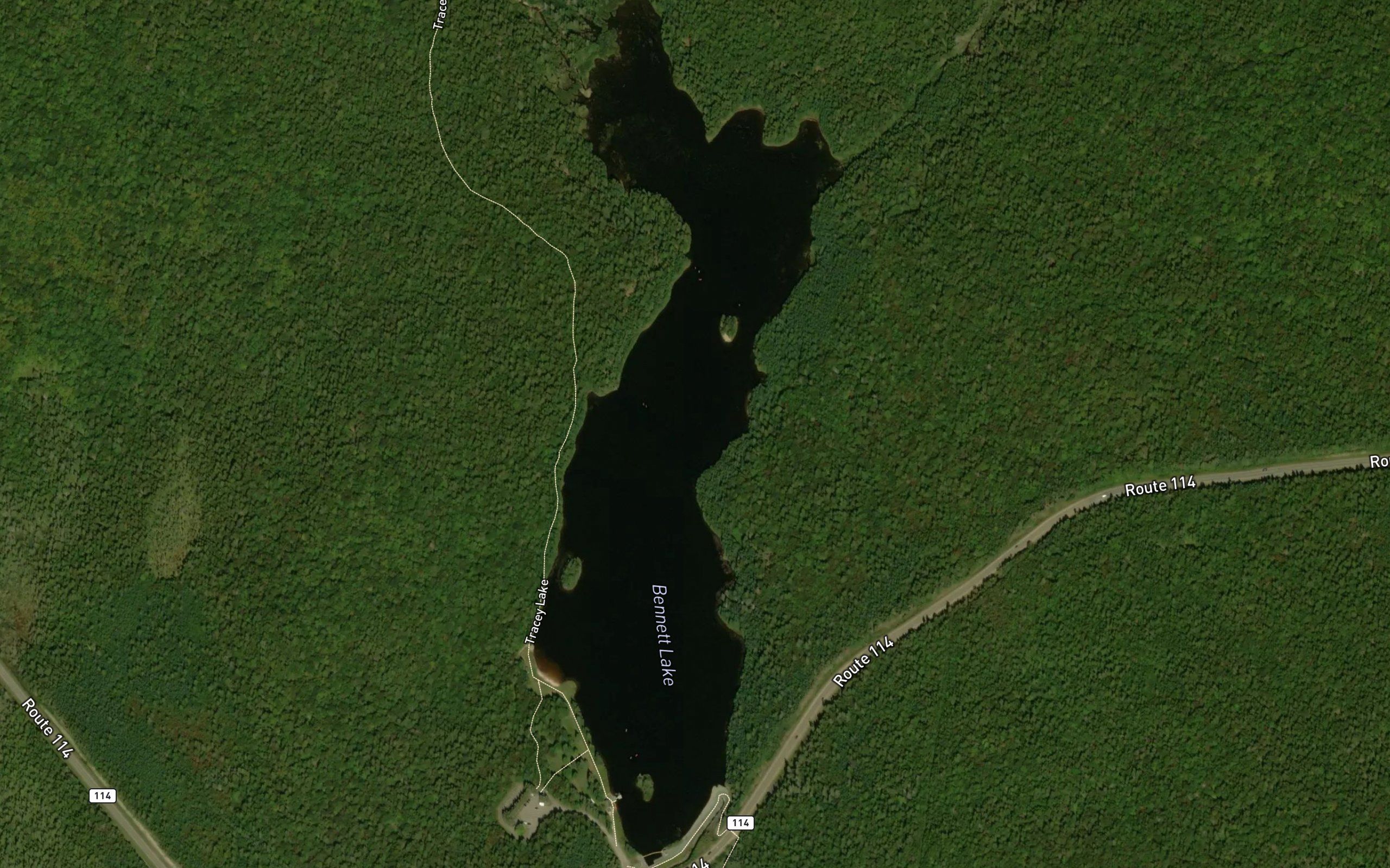 Bennett Lake