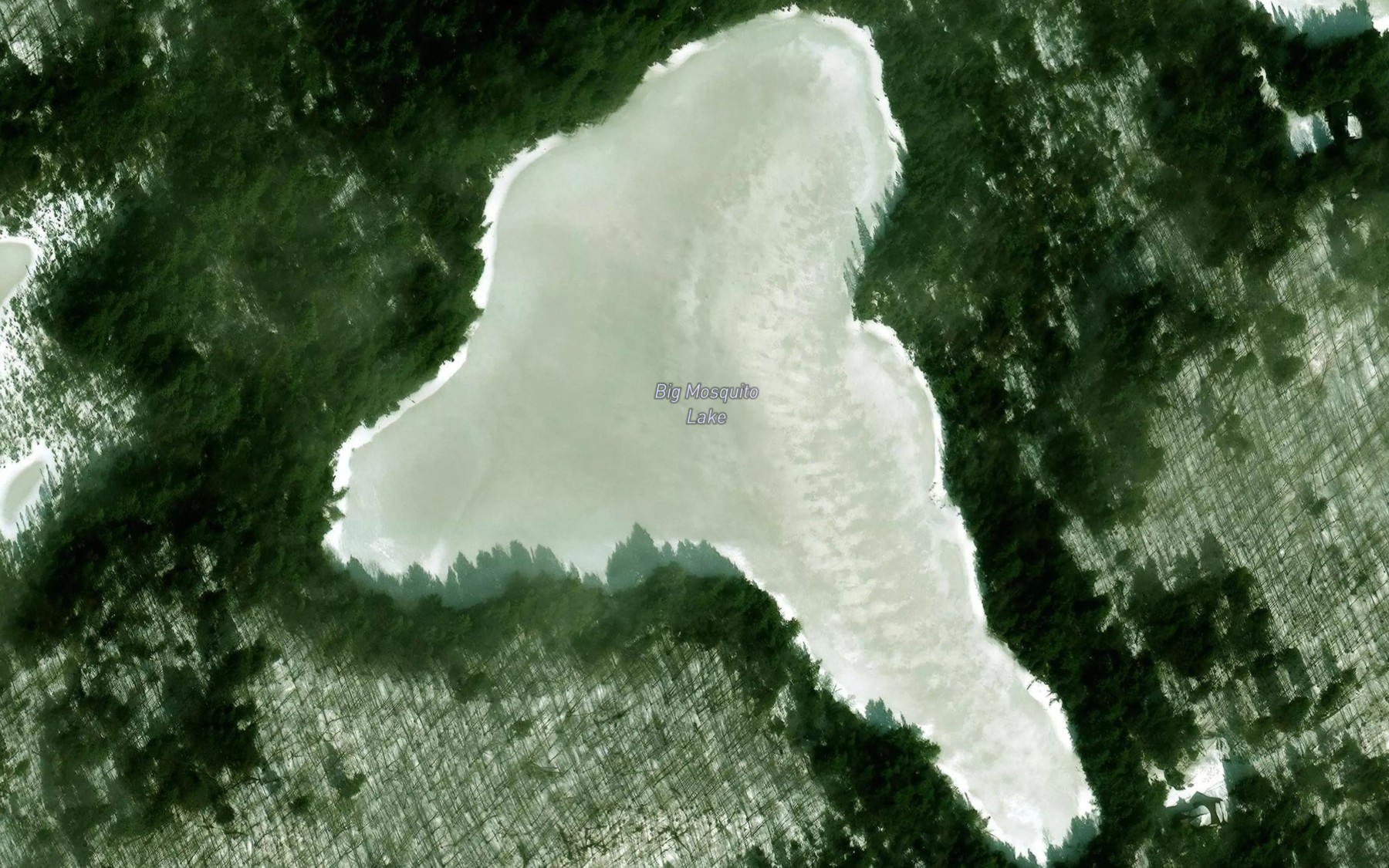 Satellite map of the Big Mosquito Lake