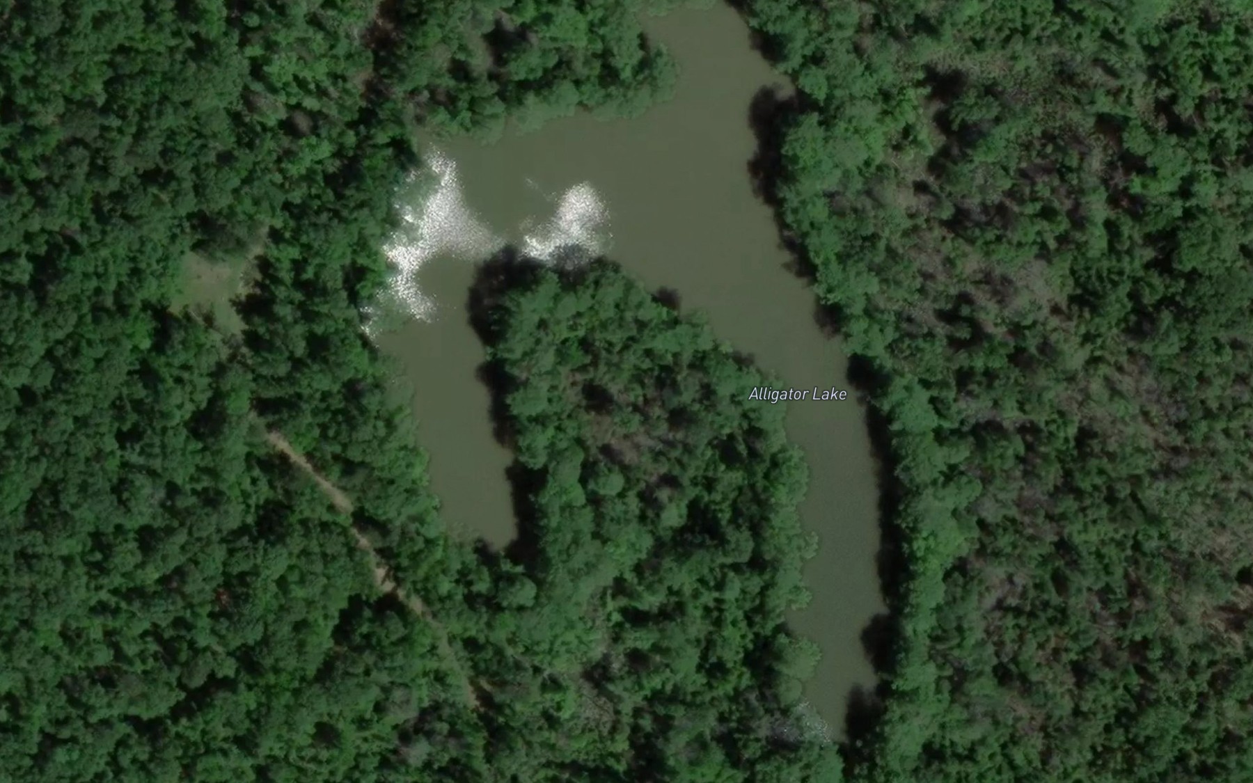 Satellite map of the Alligator Lake