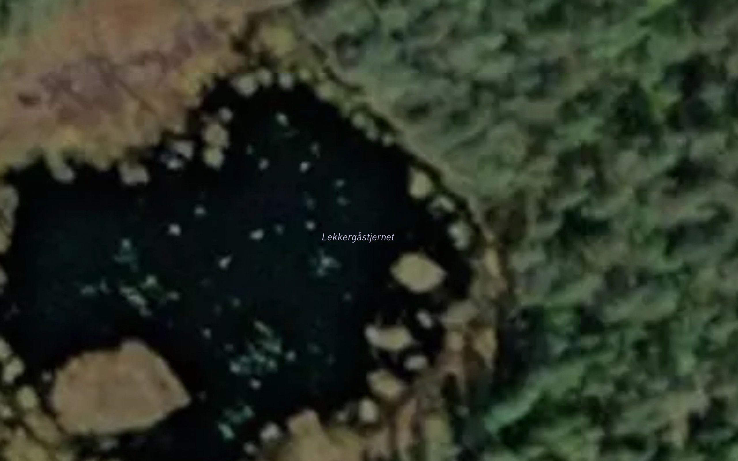 Lekkergastjernet