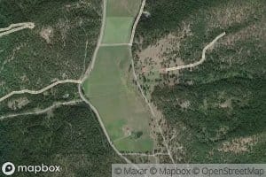 Bruce Creek