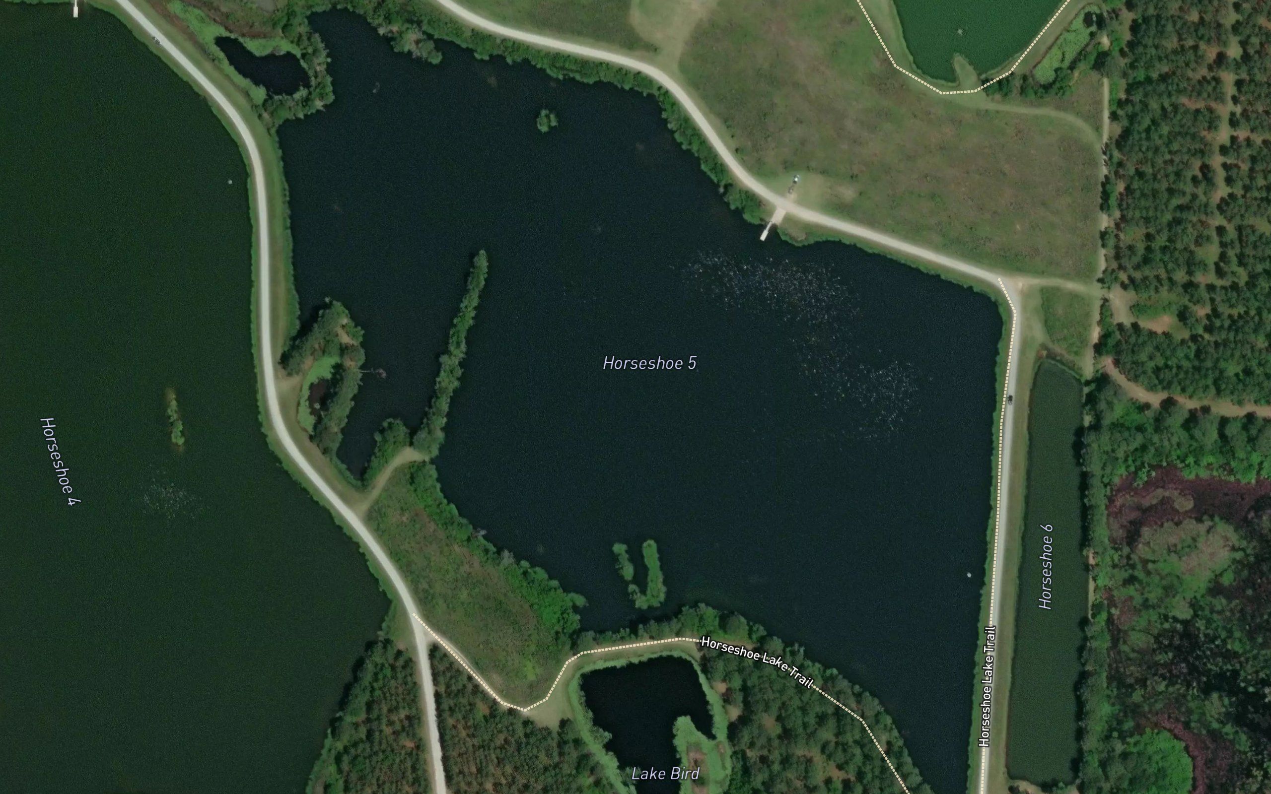 Horseshoe 5