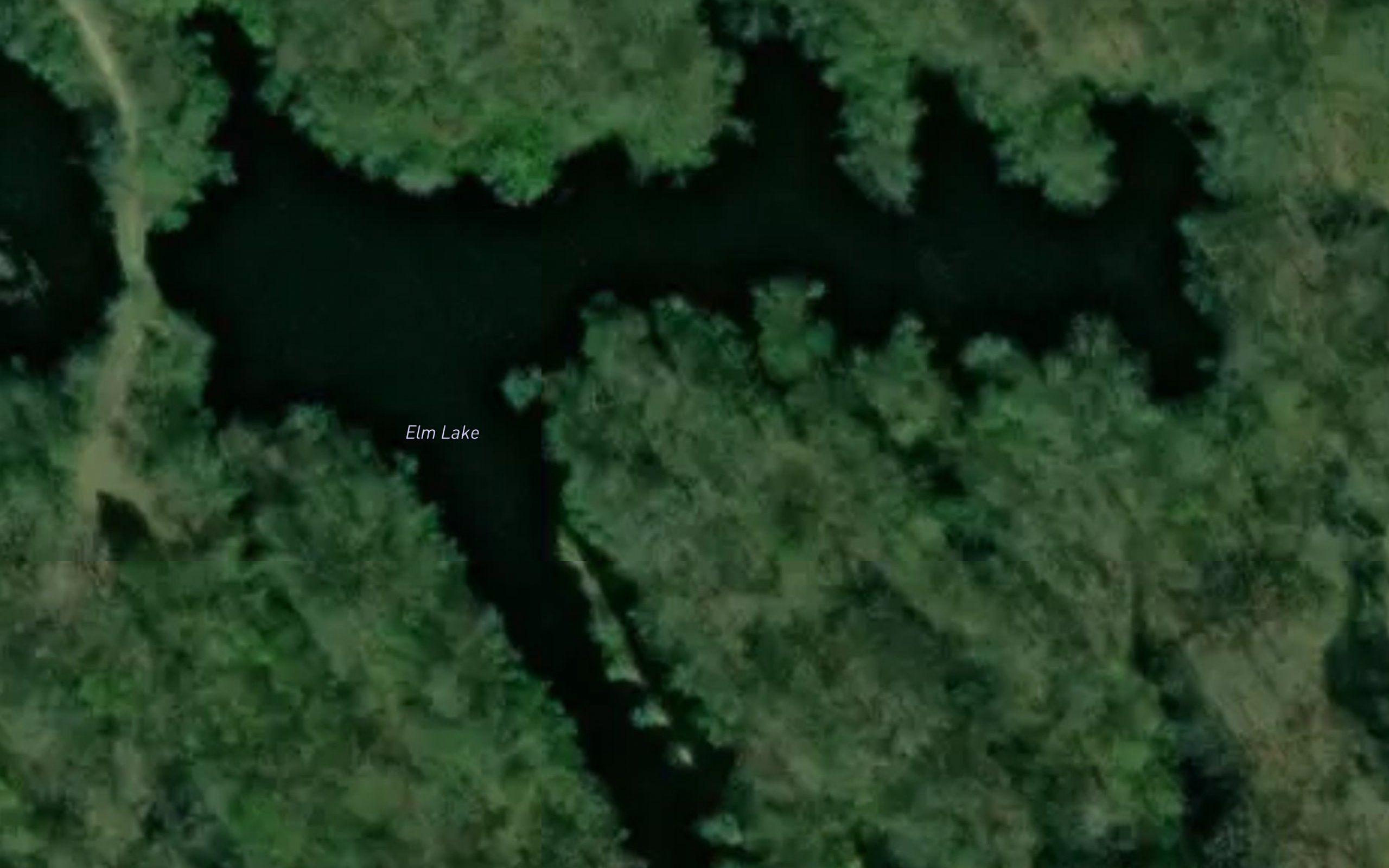 Elm Lake