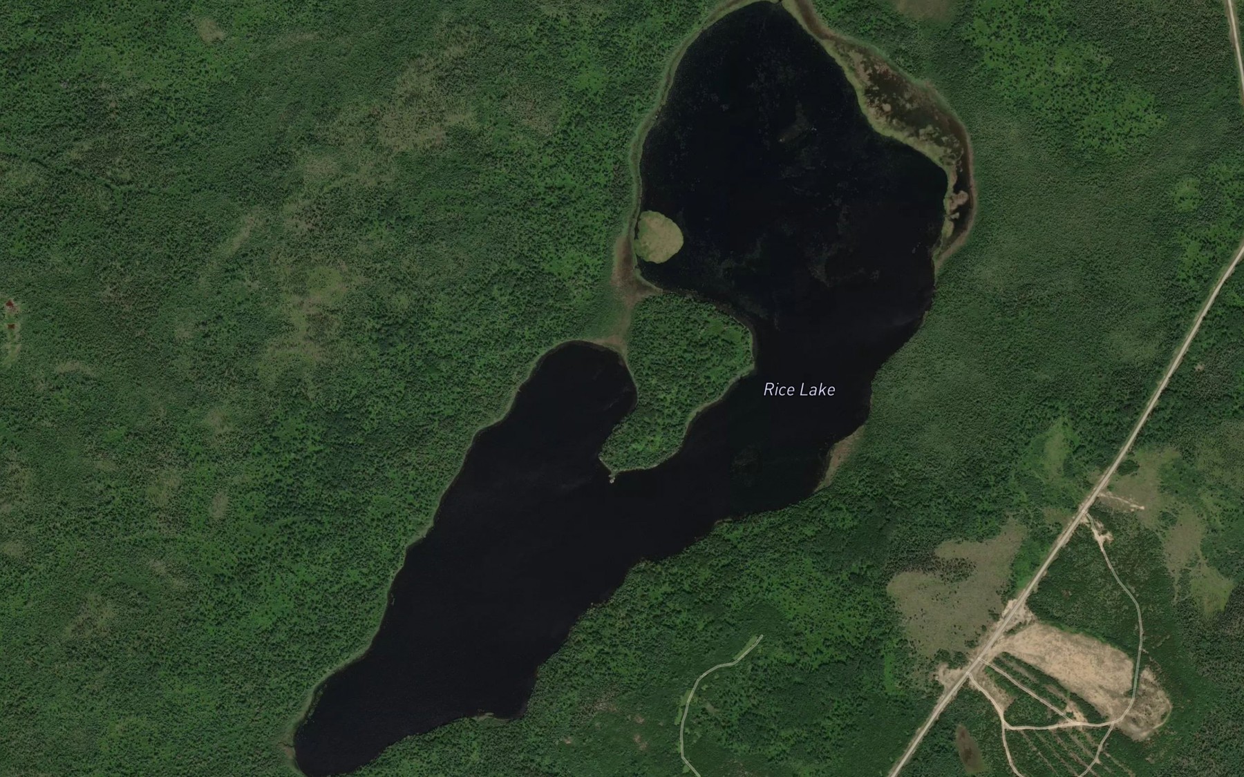 Satellite map of the Rice Lake