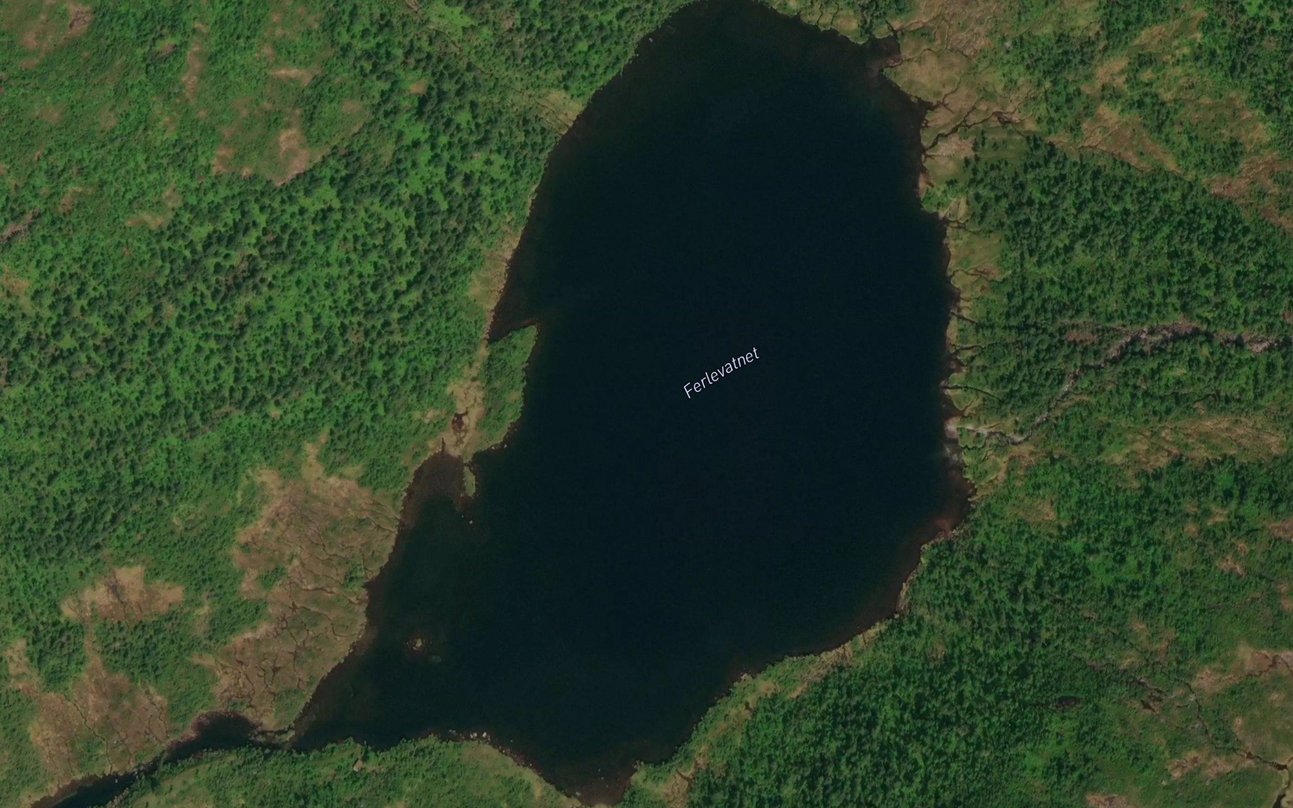 Ferlevatnet
