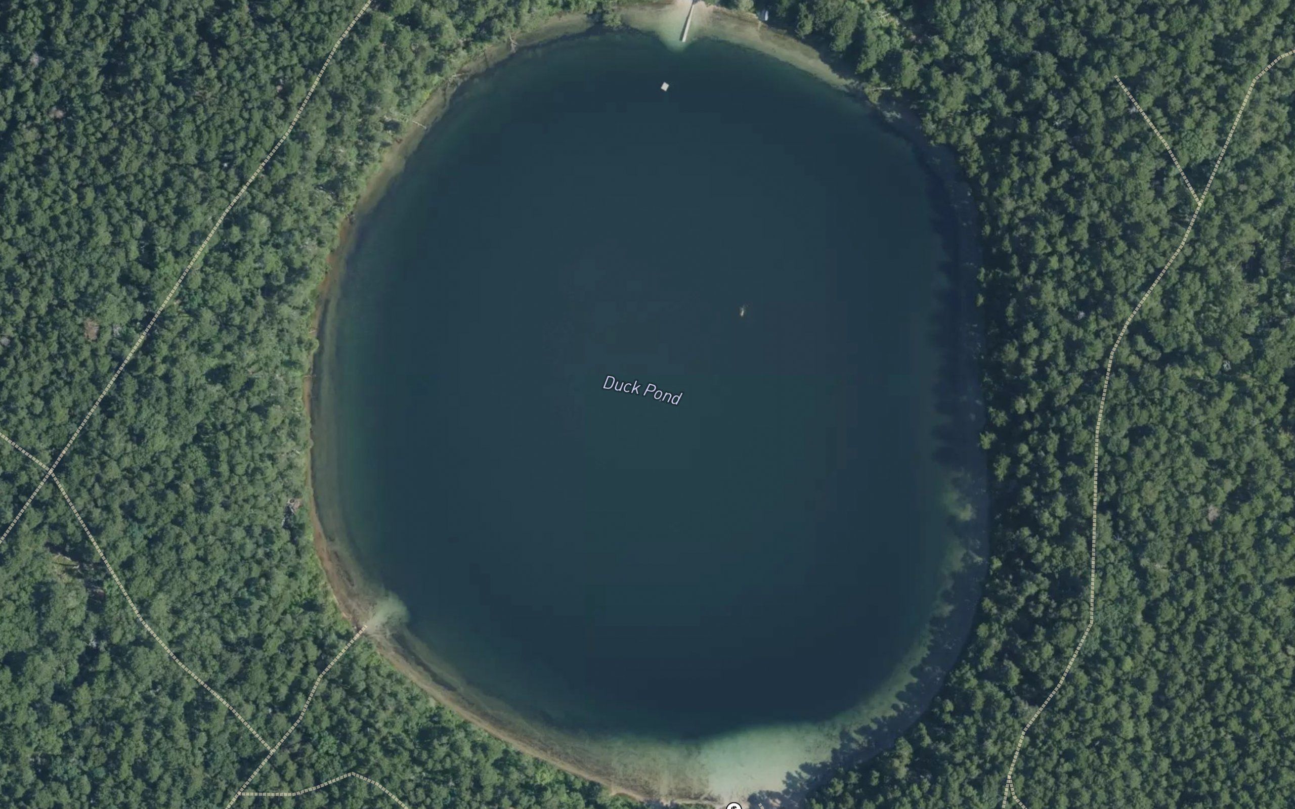 Duck Pond