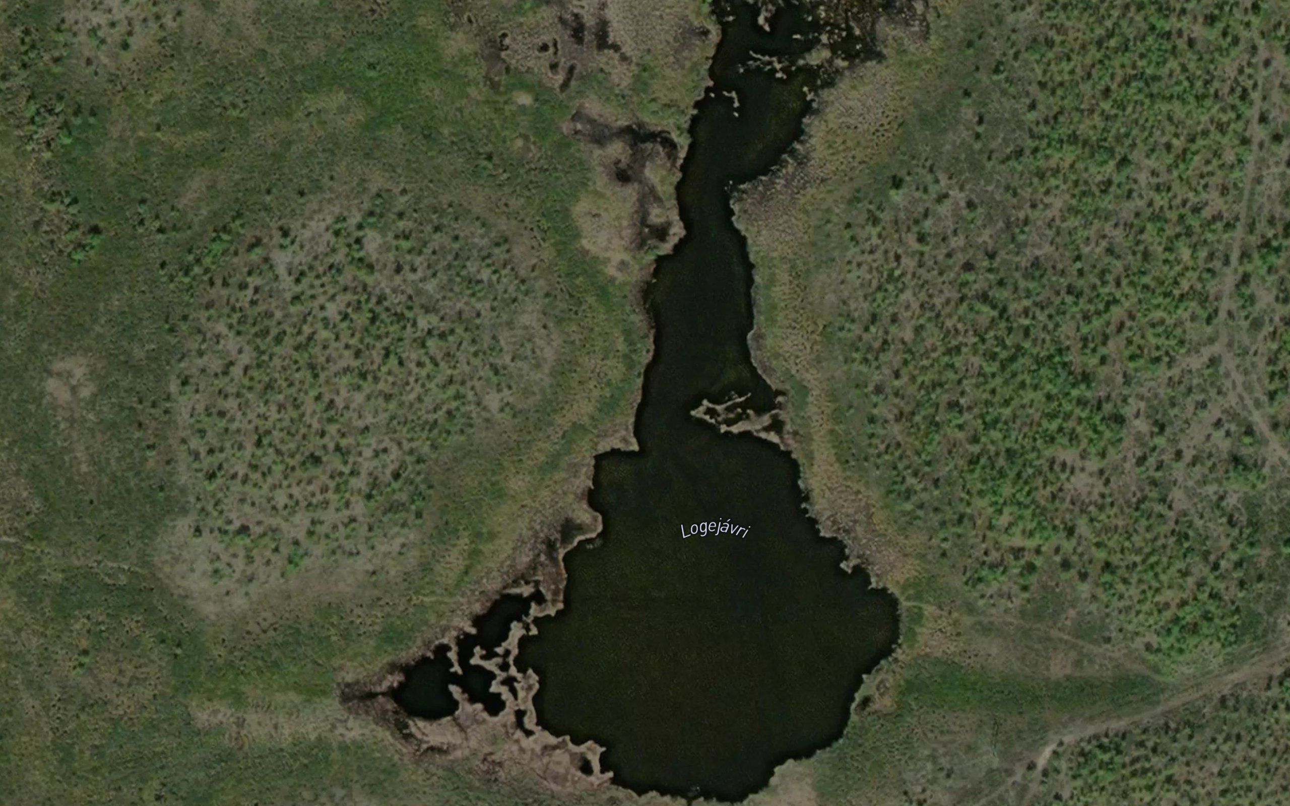 Lagejavri