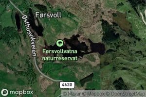 Forsvollvatna