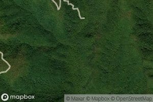 Left Prong Mill Creek