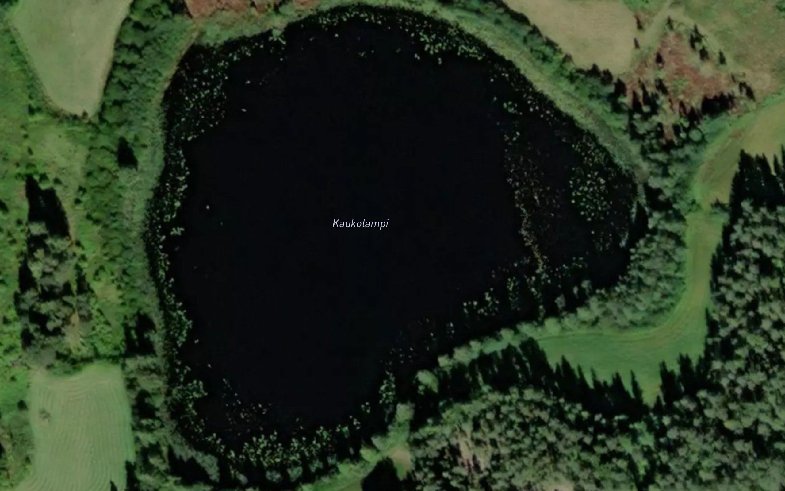 Kaukolampi
