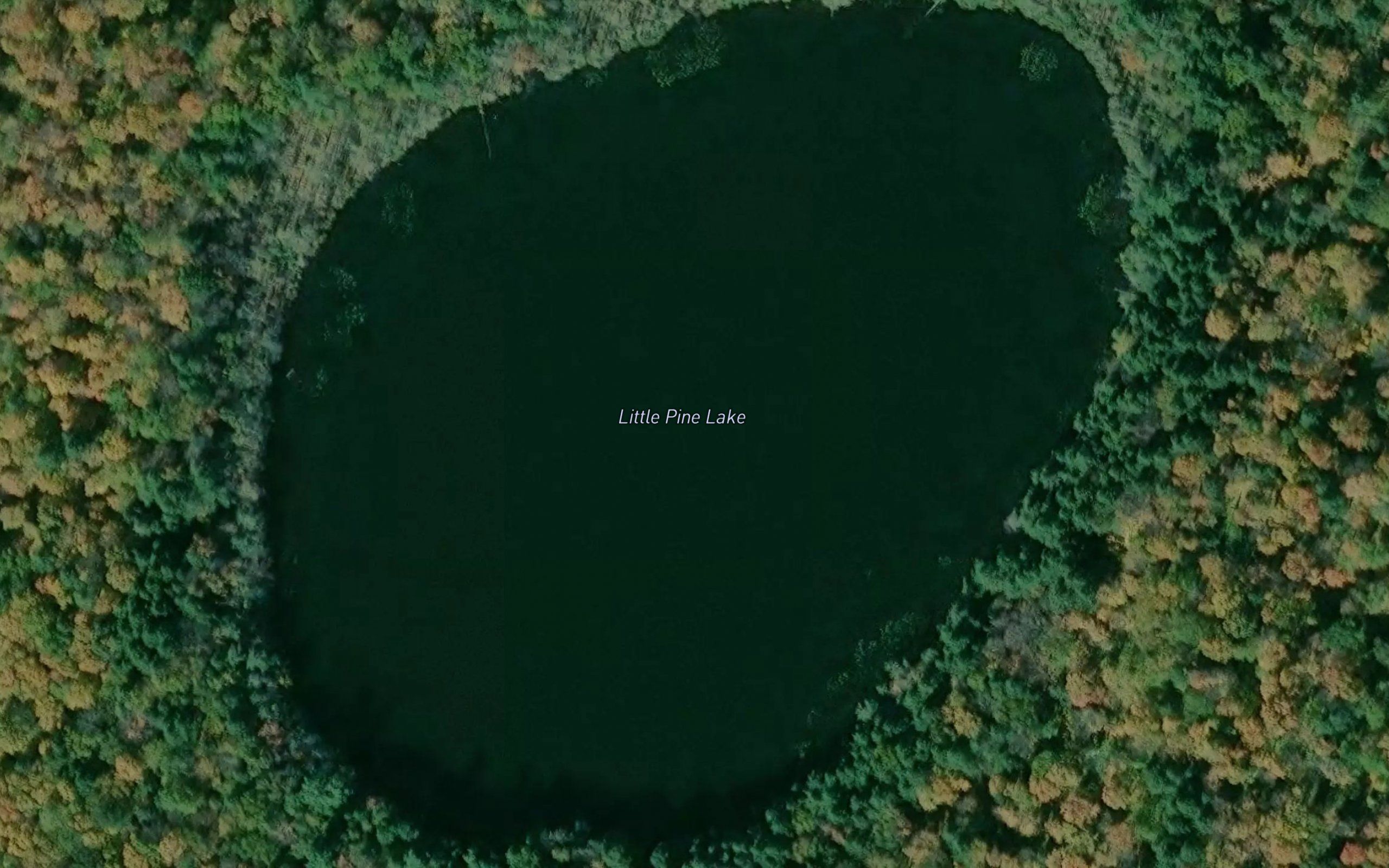 Little Pine Lake