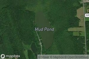 Mud Pond