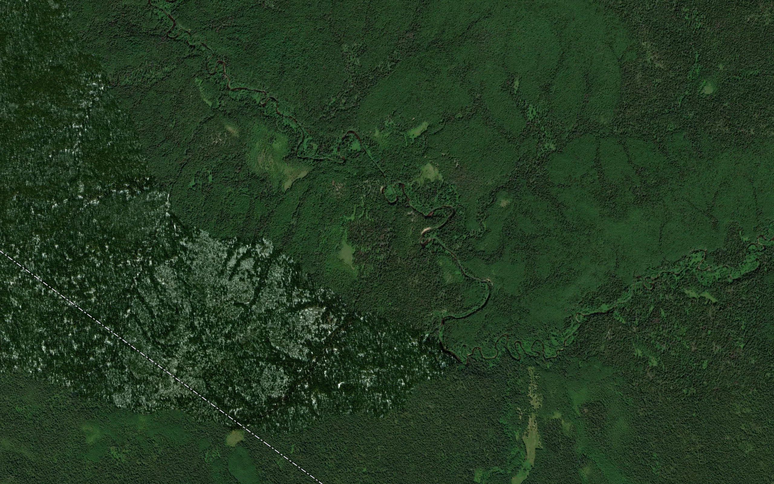 Medvezhiy