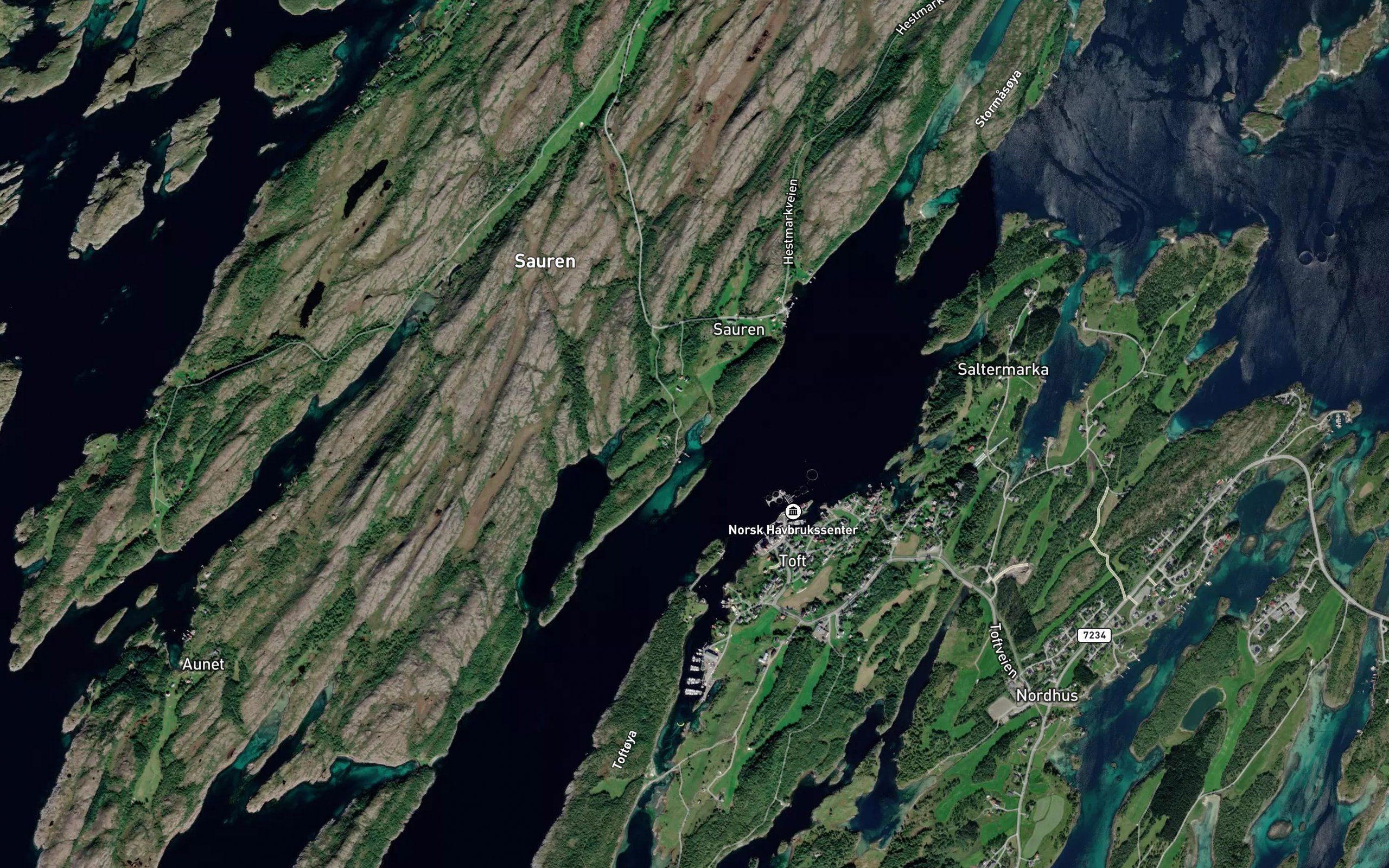 Bjonnosen