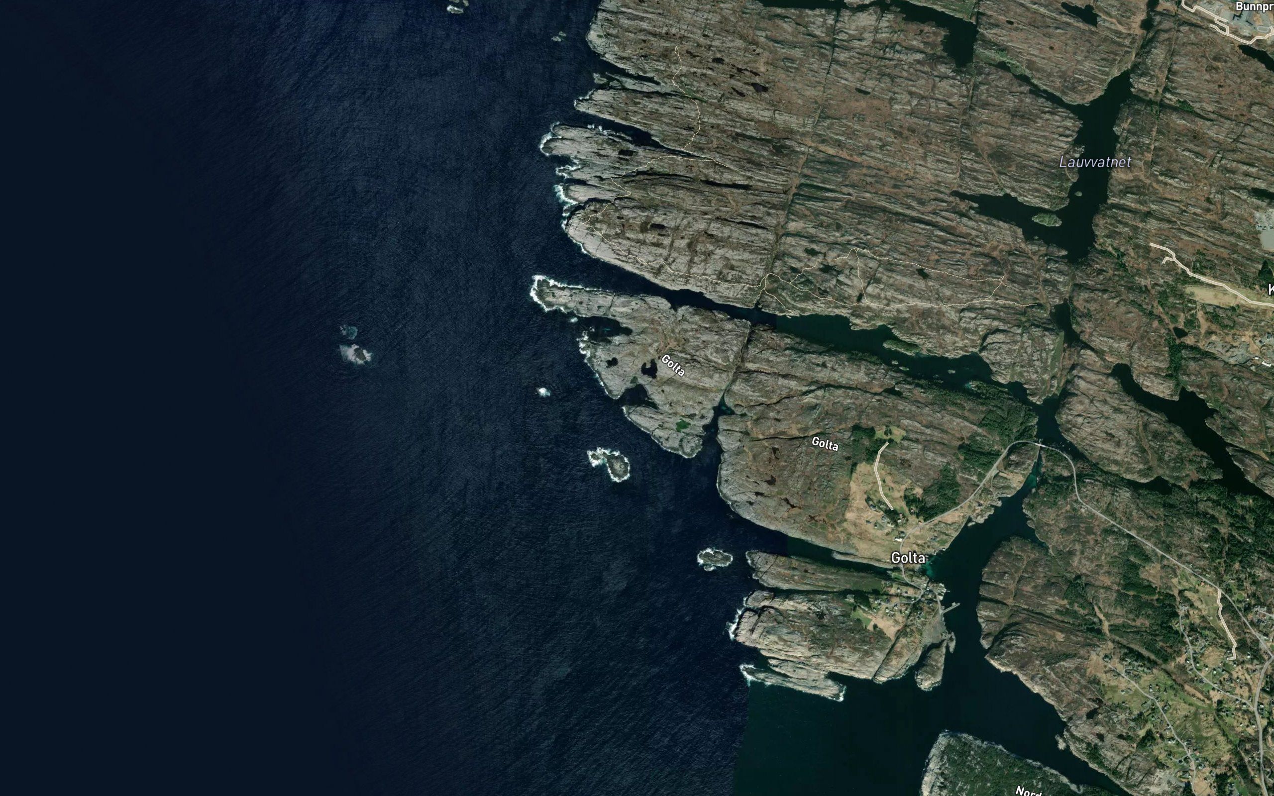 Midvika