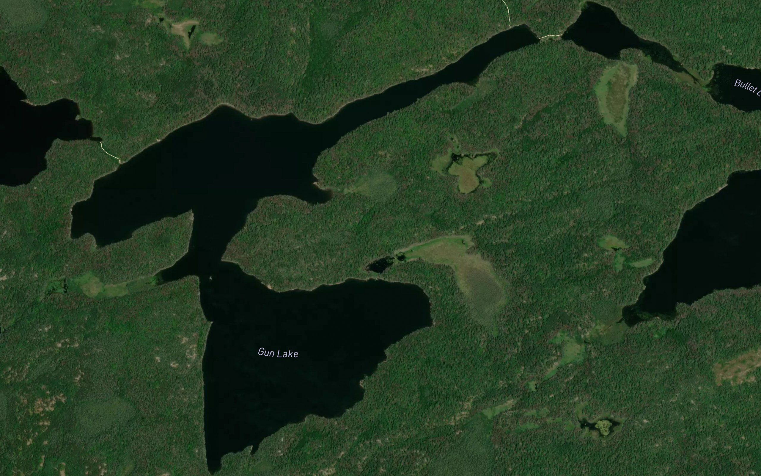 Gun Lake