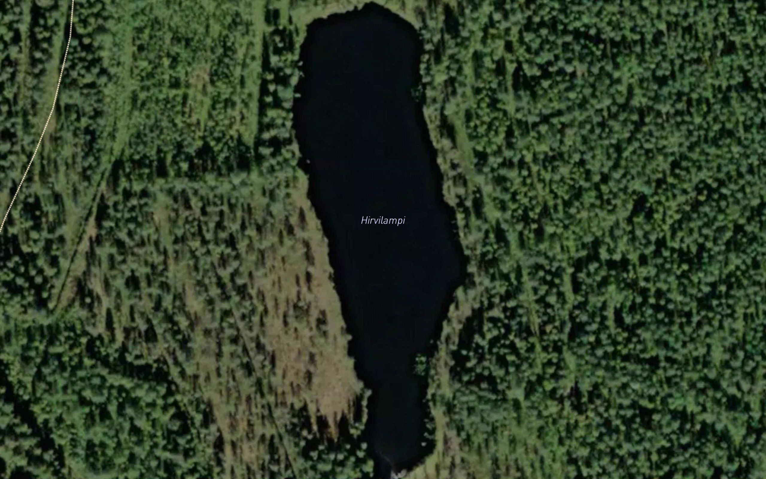 Hirvilampi