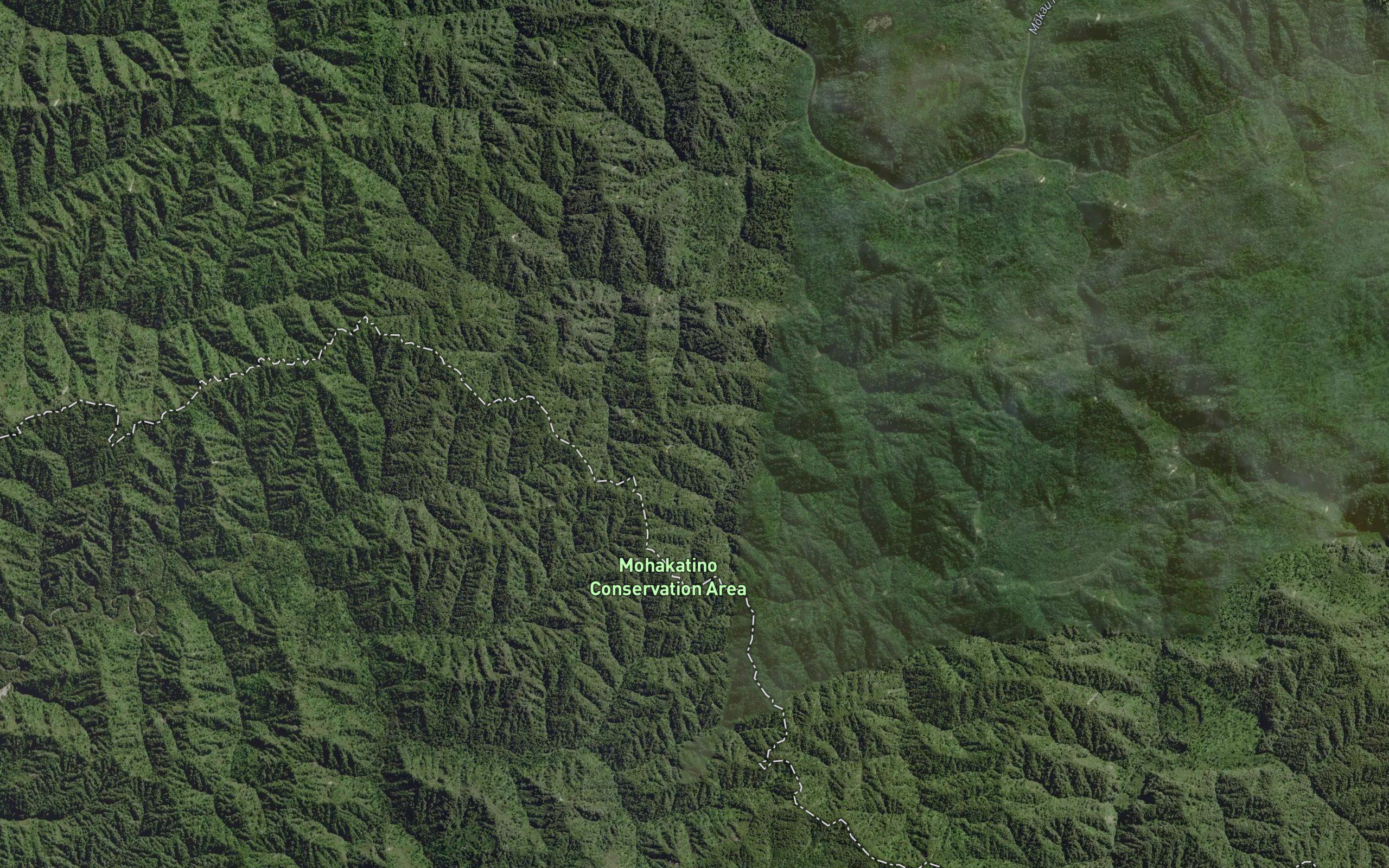 Mangapongahuru Stream