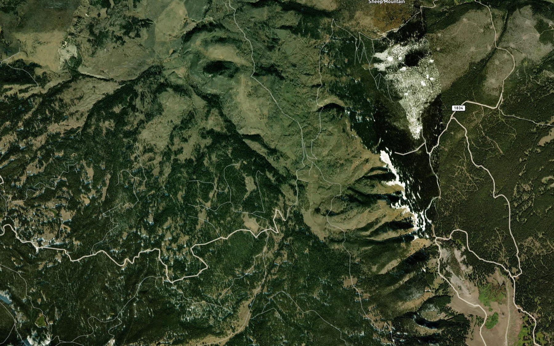 Satellite map of the Three Licks Creek