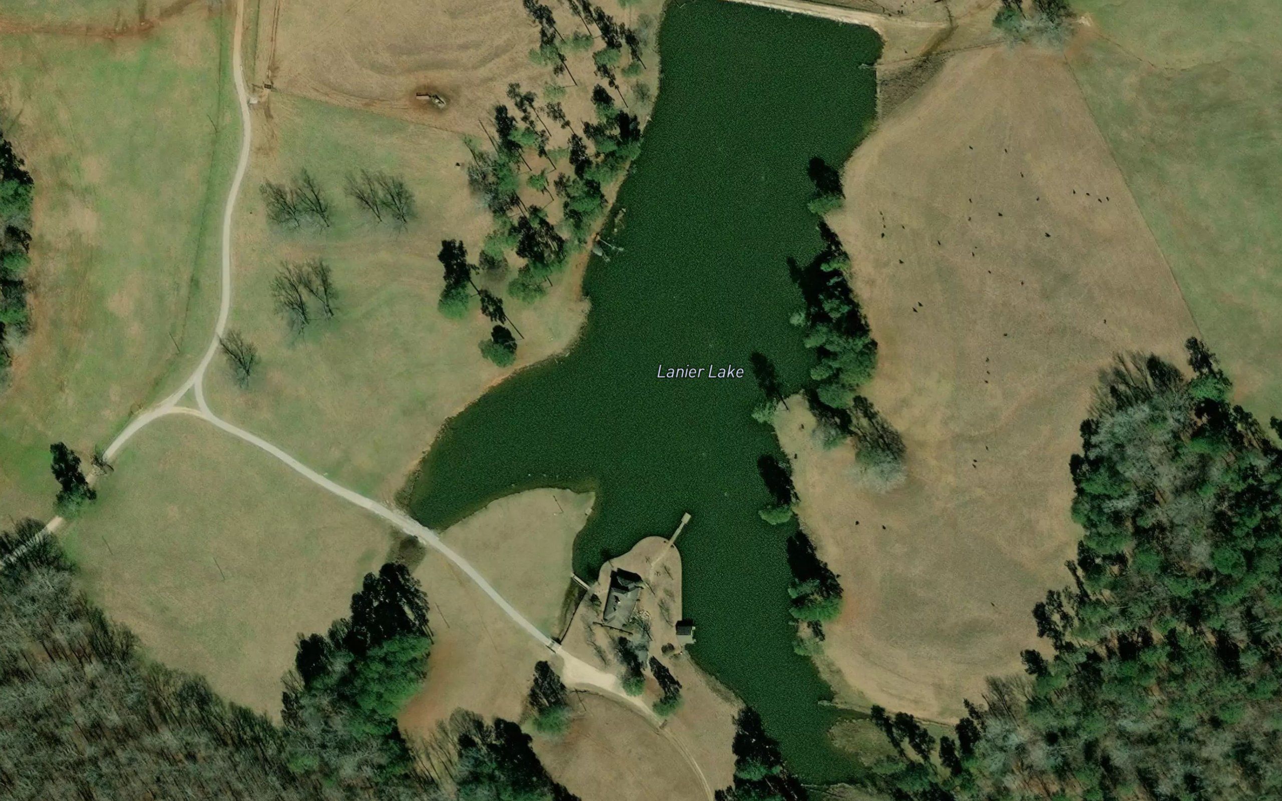 Lanier Lake