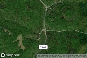 Price Branch