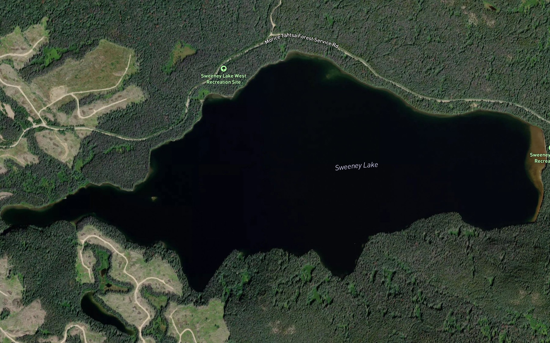 Satellite map of the Sweeney Lake