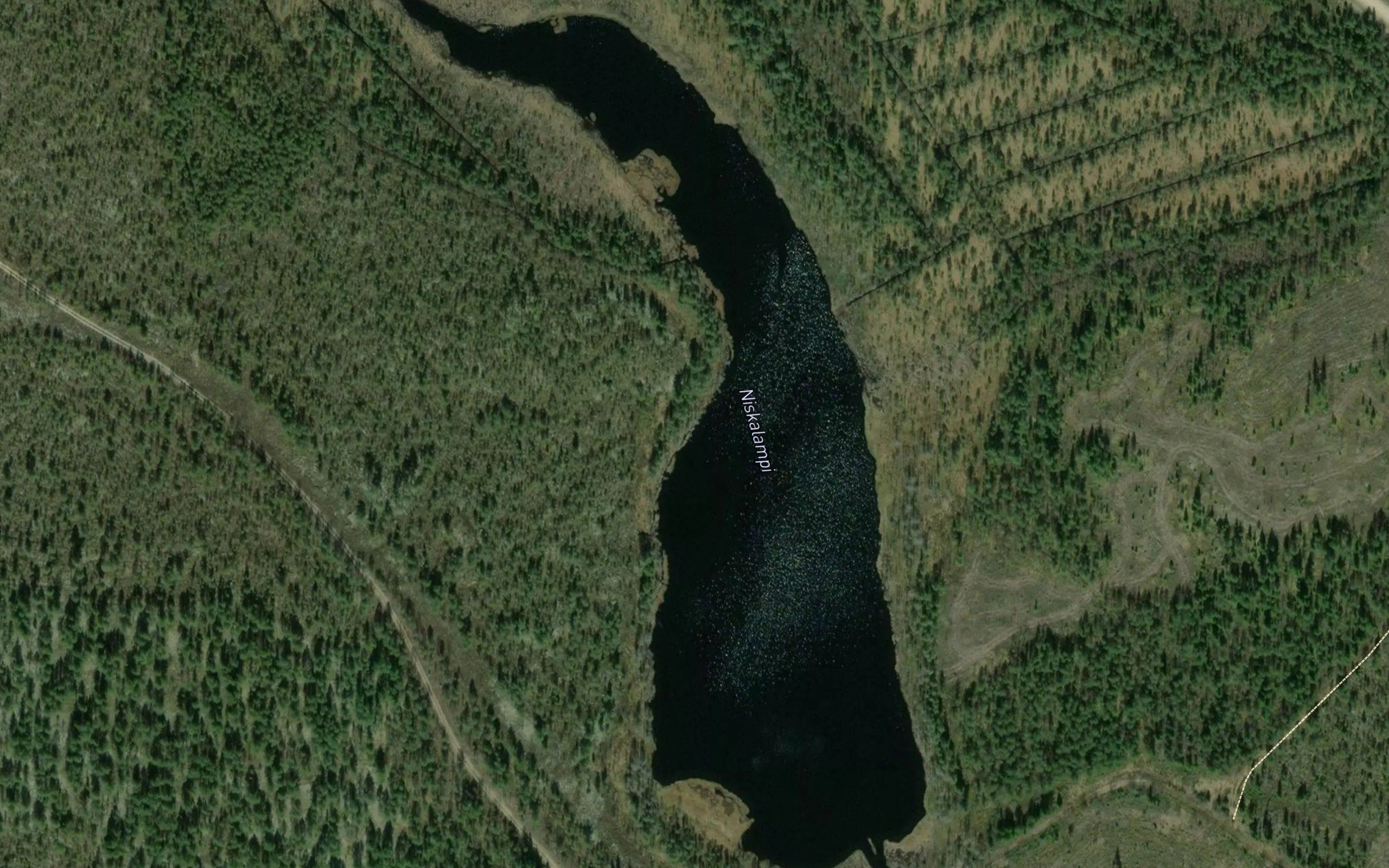 Niskalampi