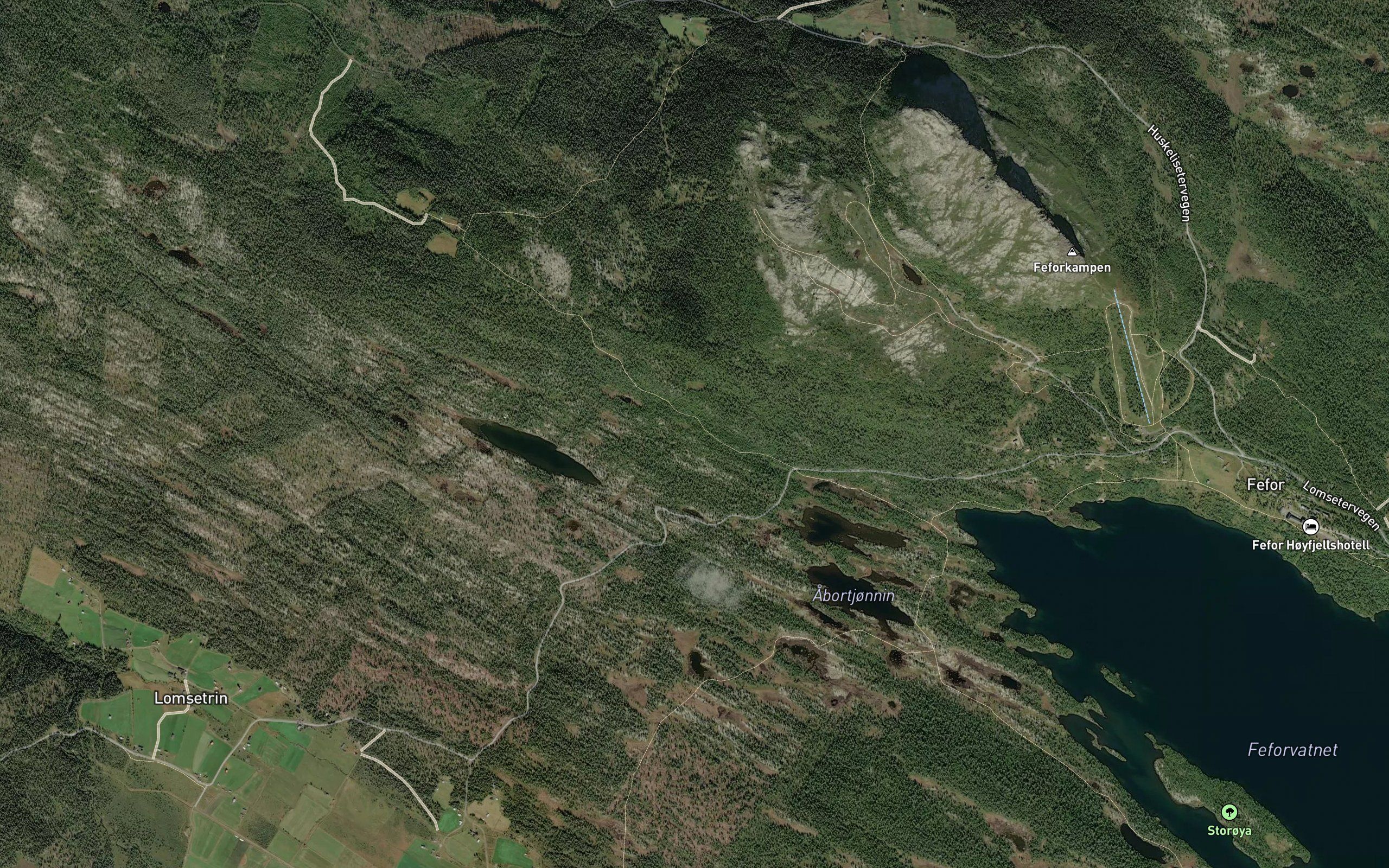 Svarttjonna