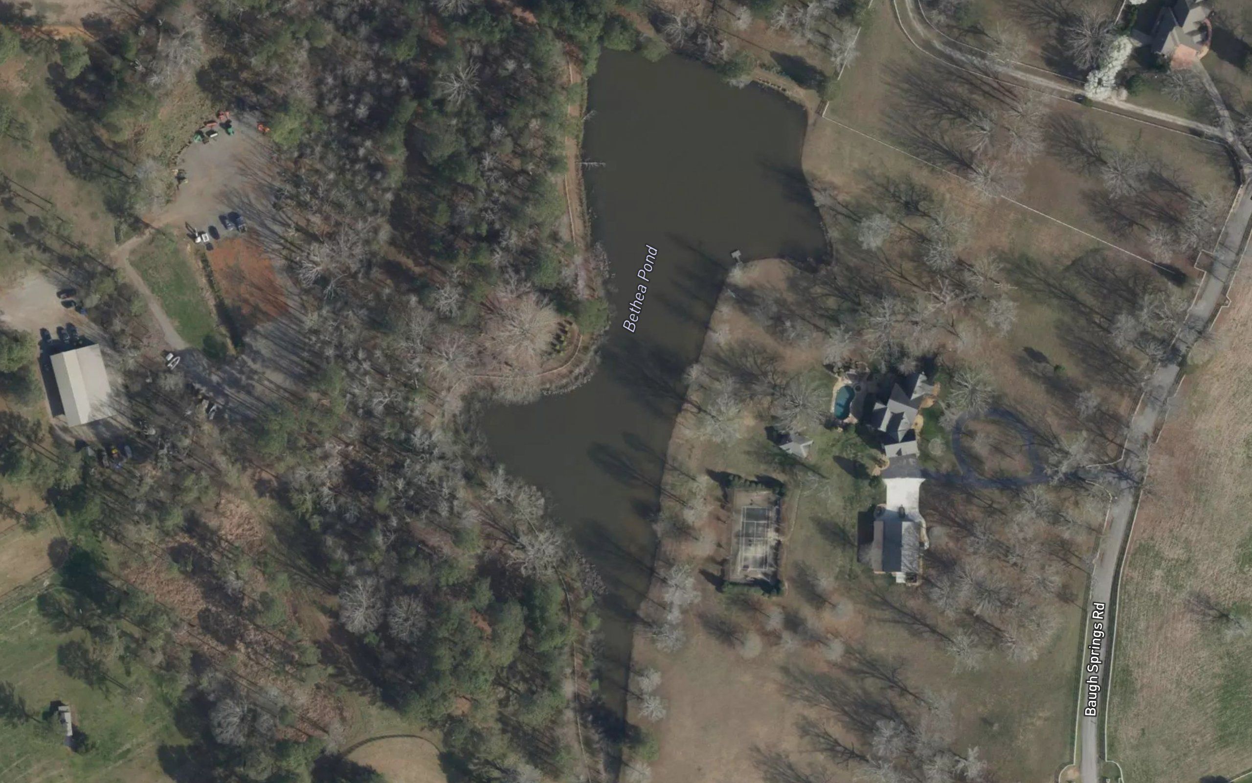 Bethea Pond