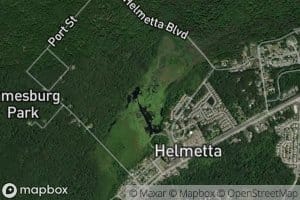 Helmetta Pond