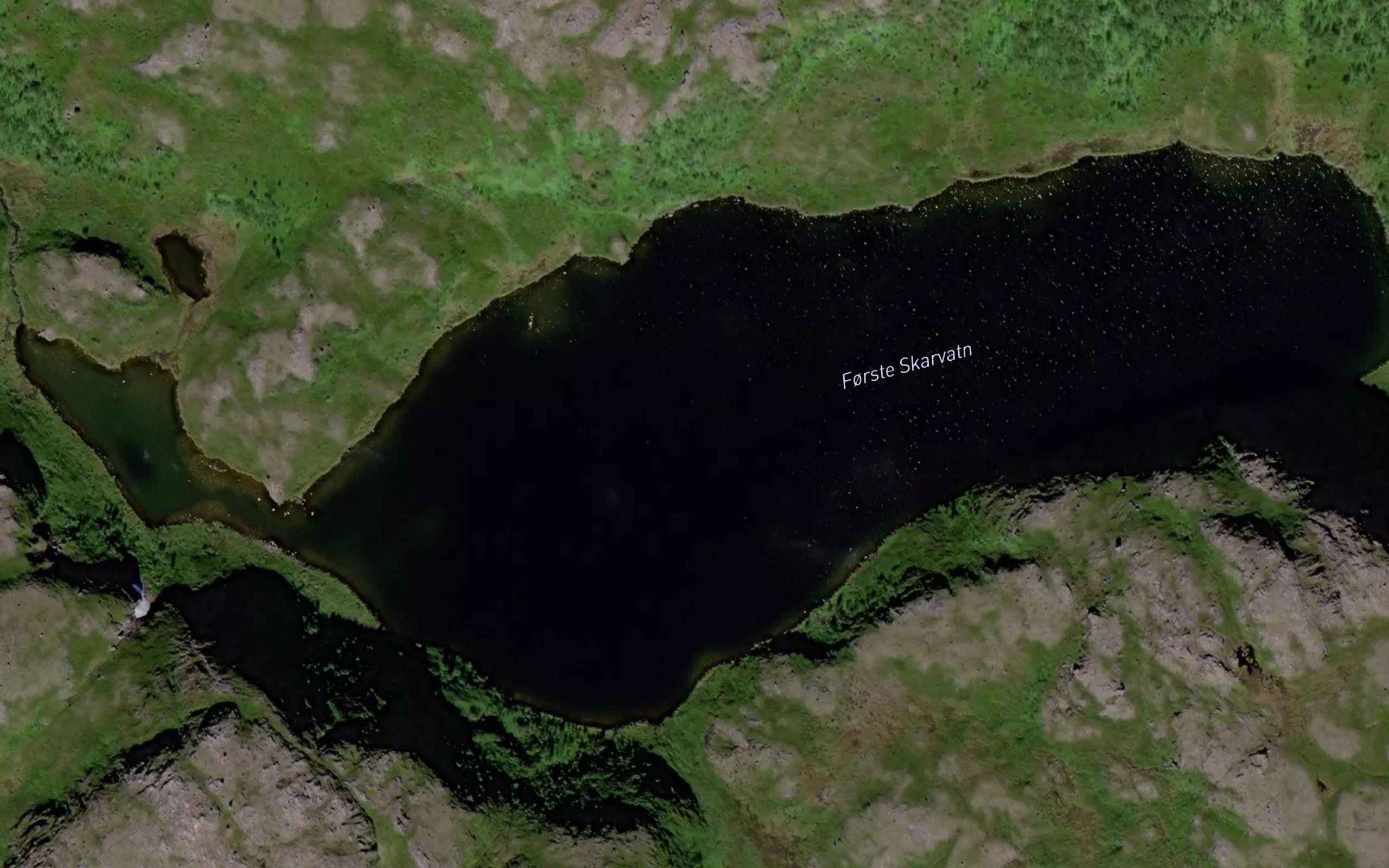 Skardvatn,forste