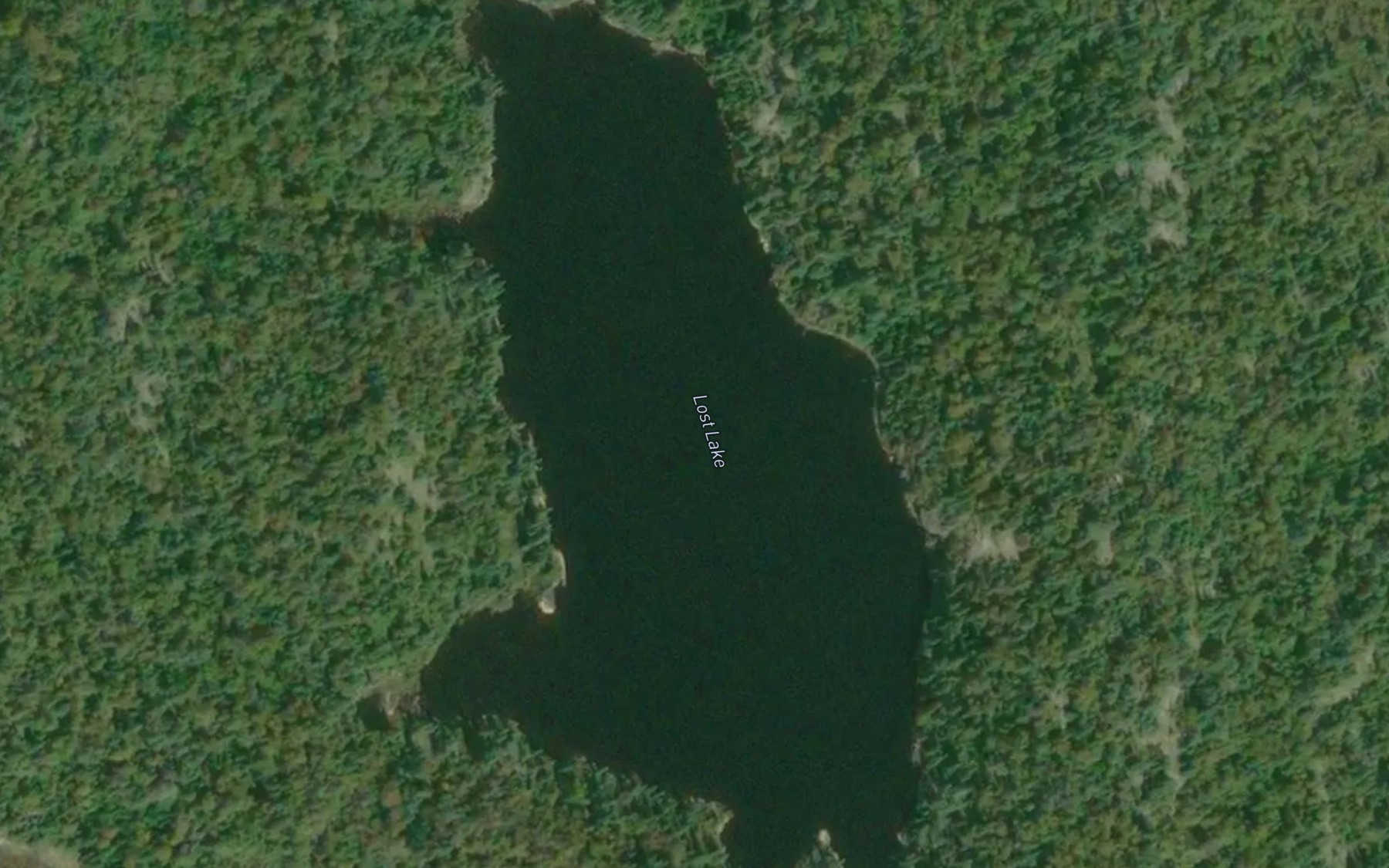 Satellite map of the Lost Lake