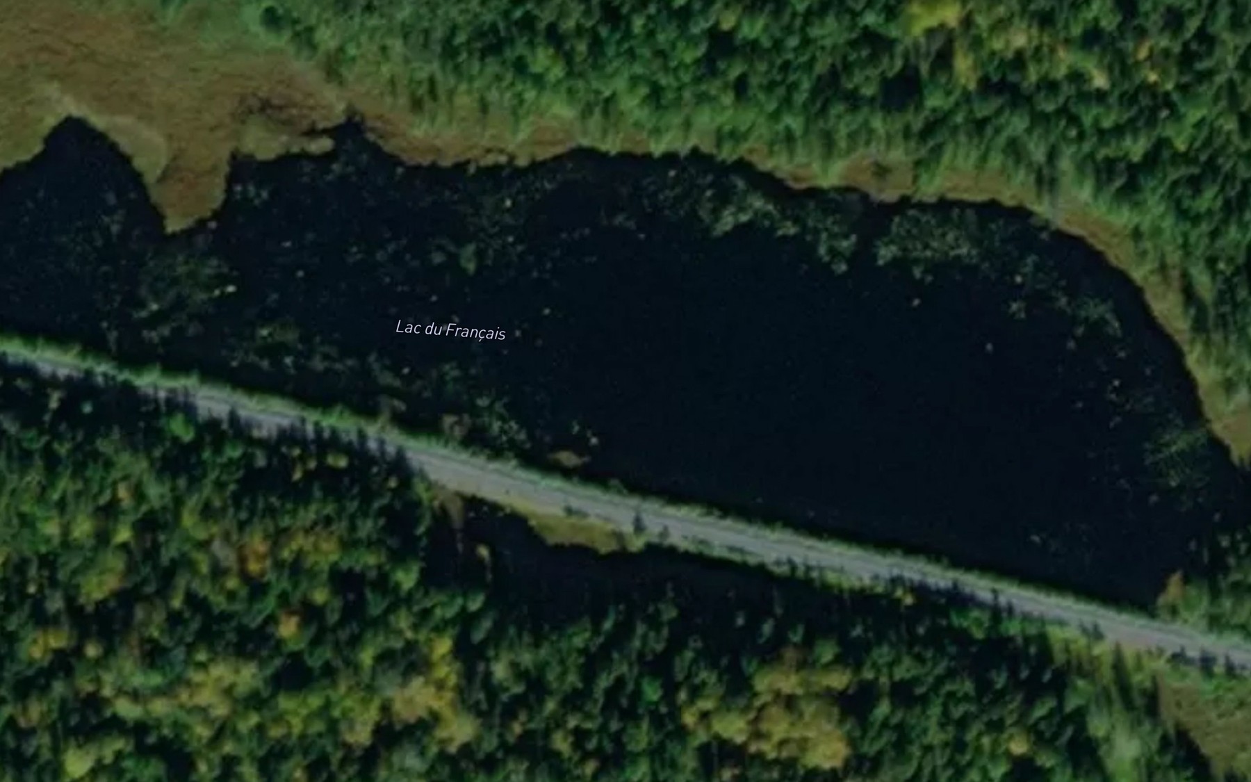 Satellite map of the Lac du Francais
