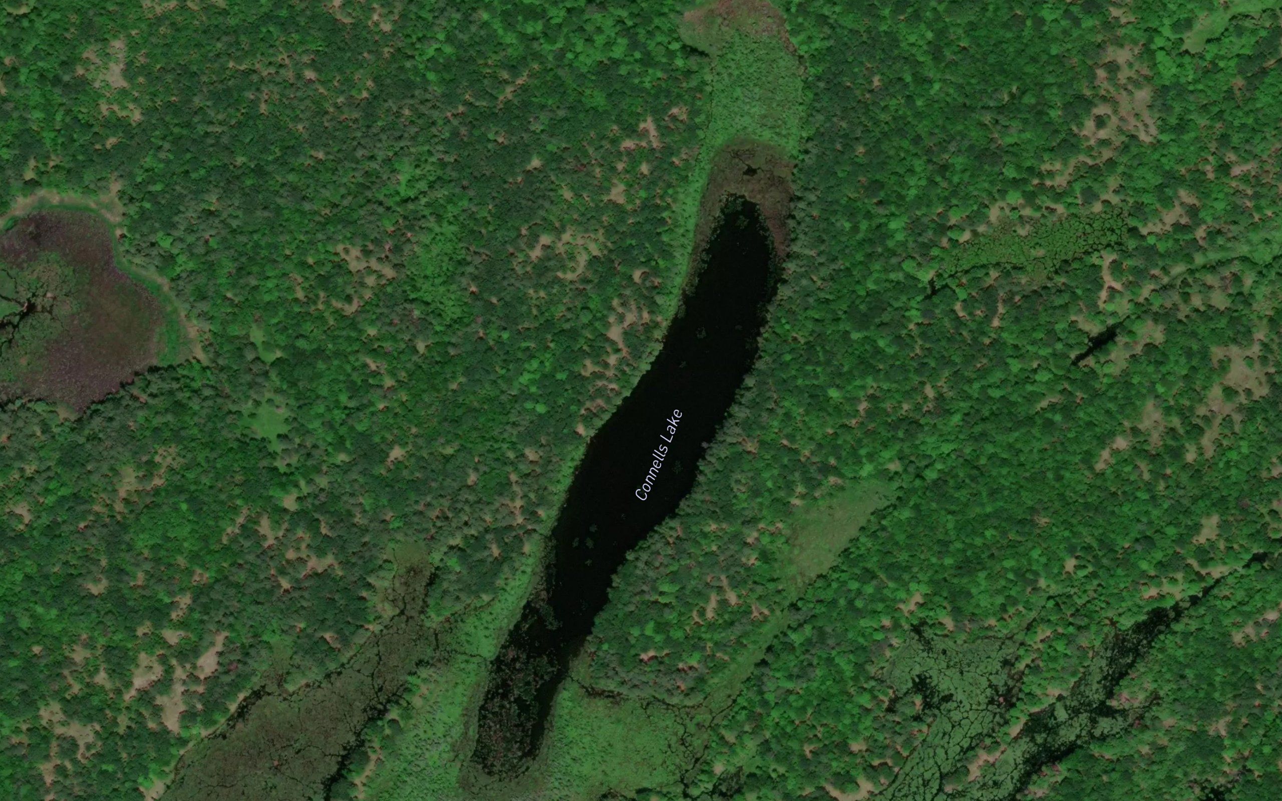 Connells Lake