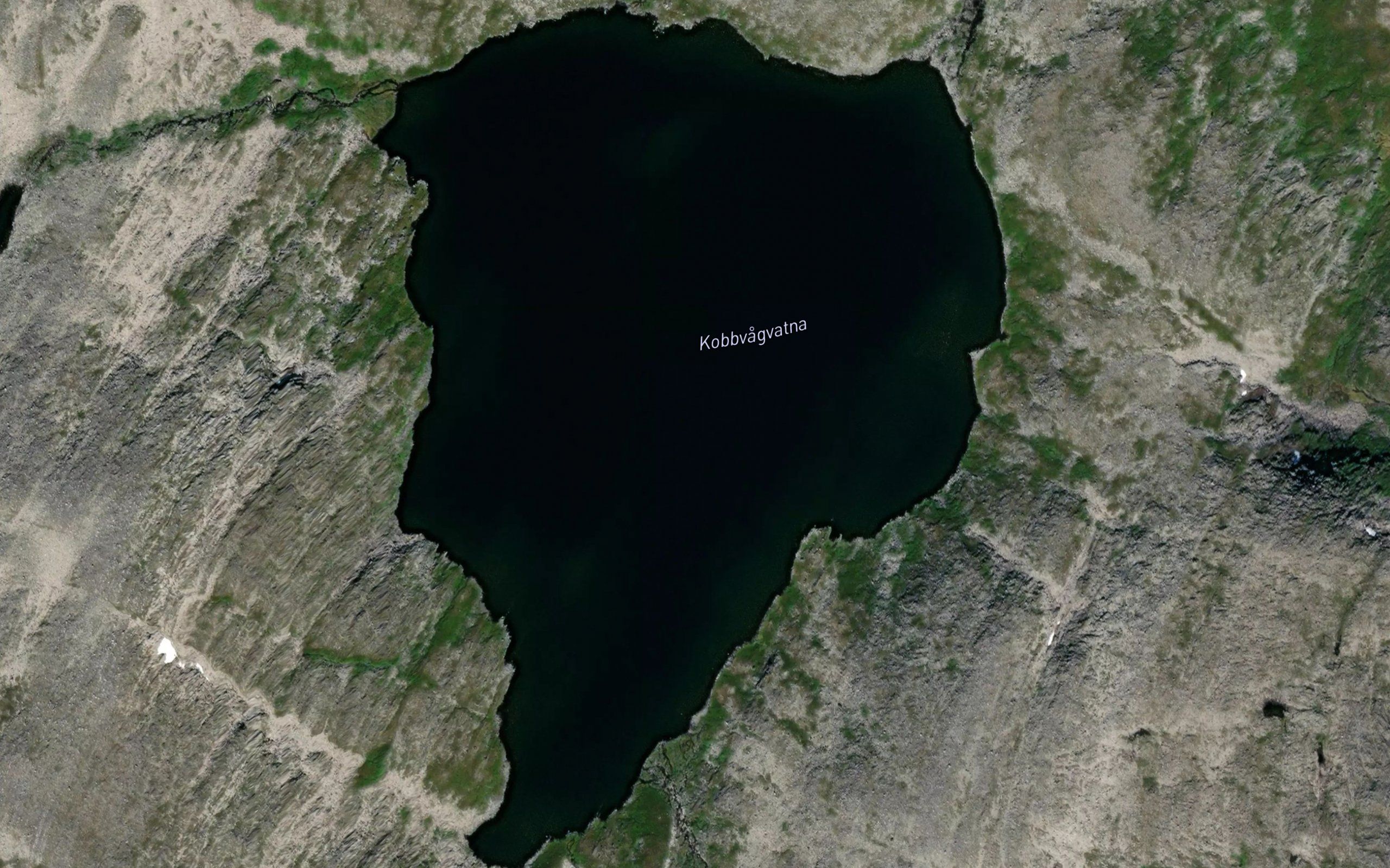 Kobbvagvatna