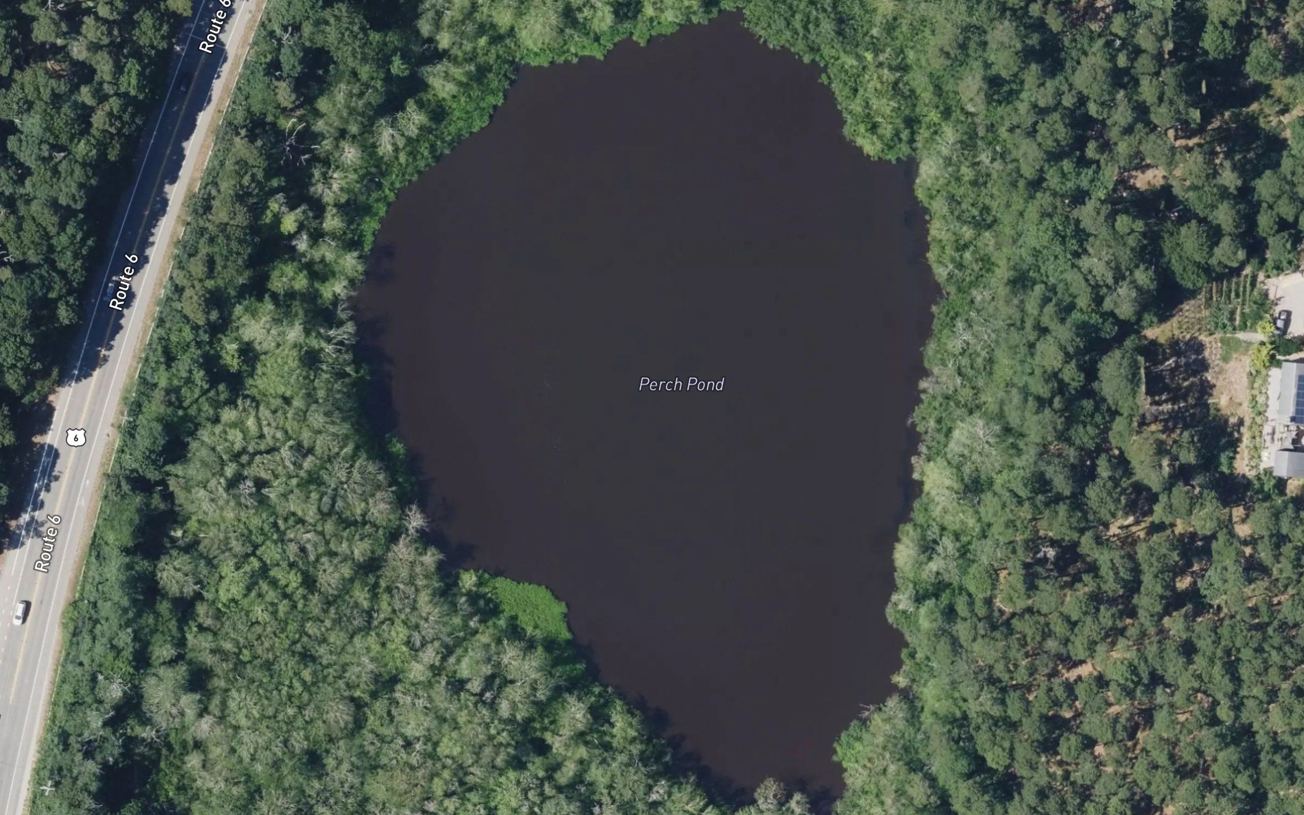 Perch Pond