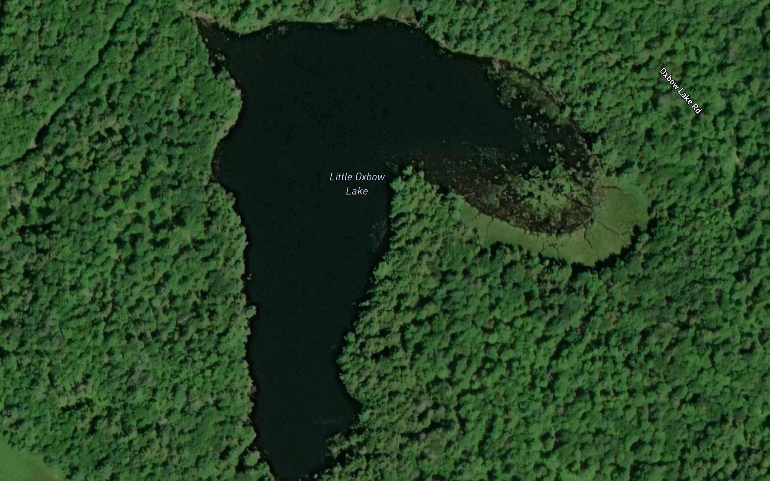 Little Oxbow Lake